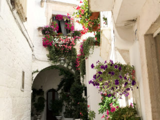 Par-ci Par-là Italie Pouilles