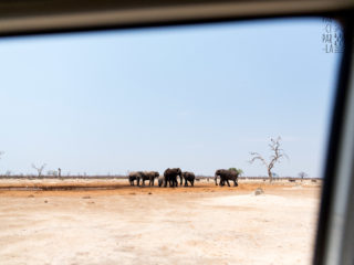 Par-ci Par-là Botswana Savuti