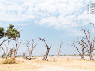 Par-ci Par-là Botswana