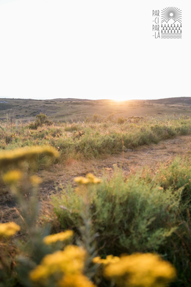 Par-ci Par-là Madagascar Par-ci Par-là Madagascar