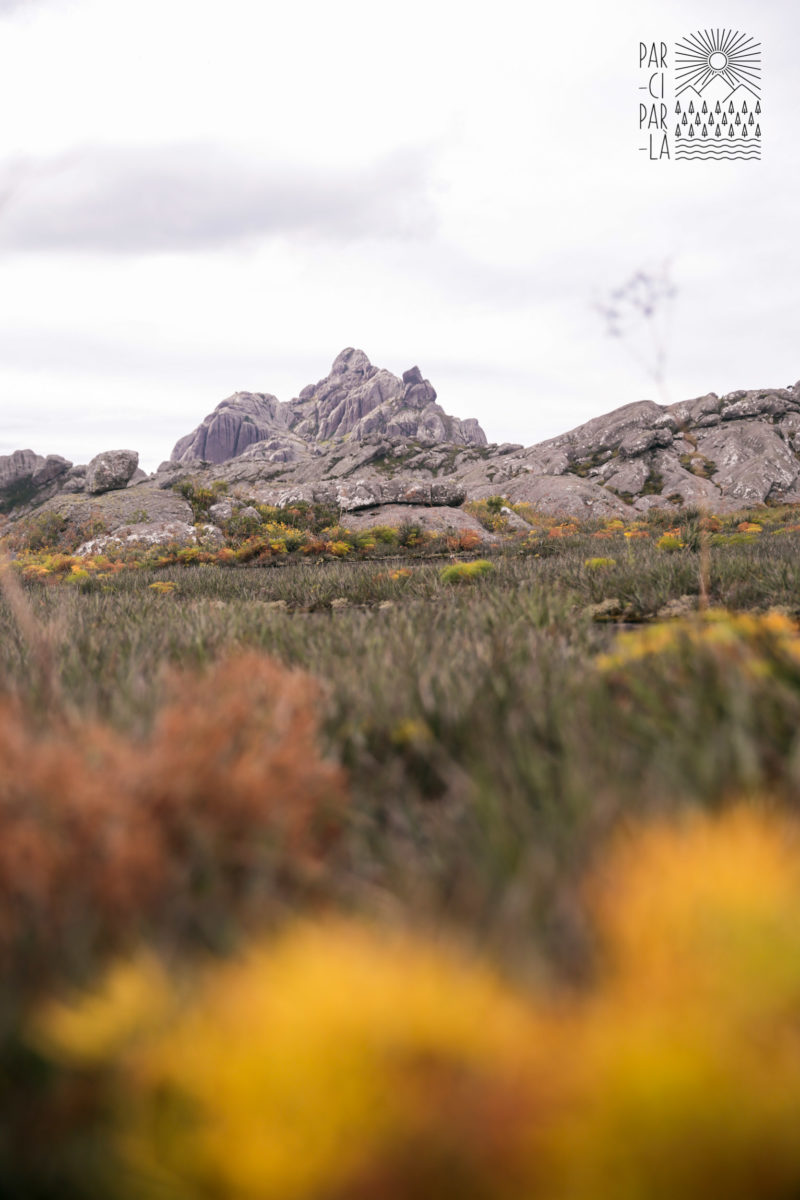 Par-ci Par-là Madagascar Par-ci Par-là Madagascar