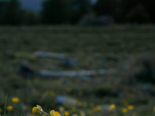 Par-ci Par-là France Ubaye