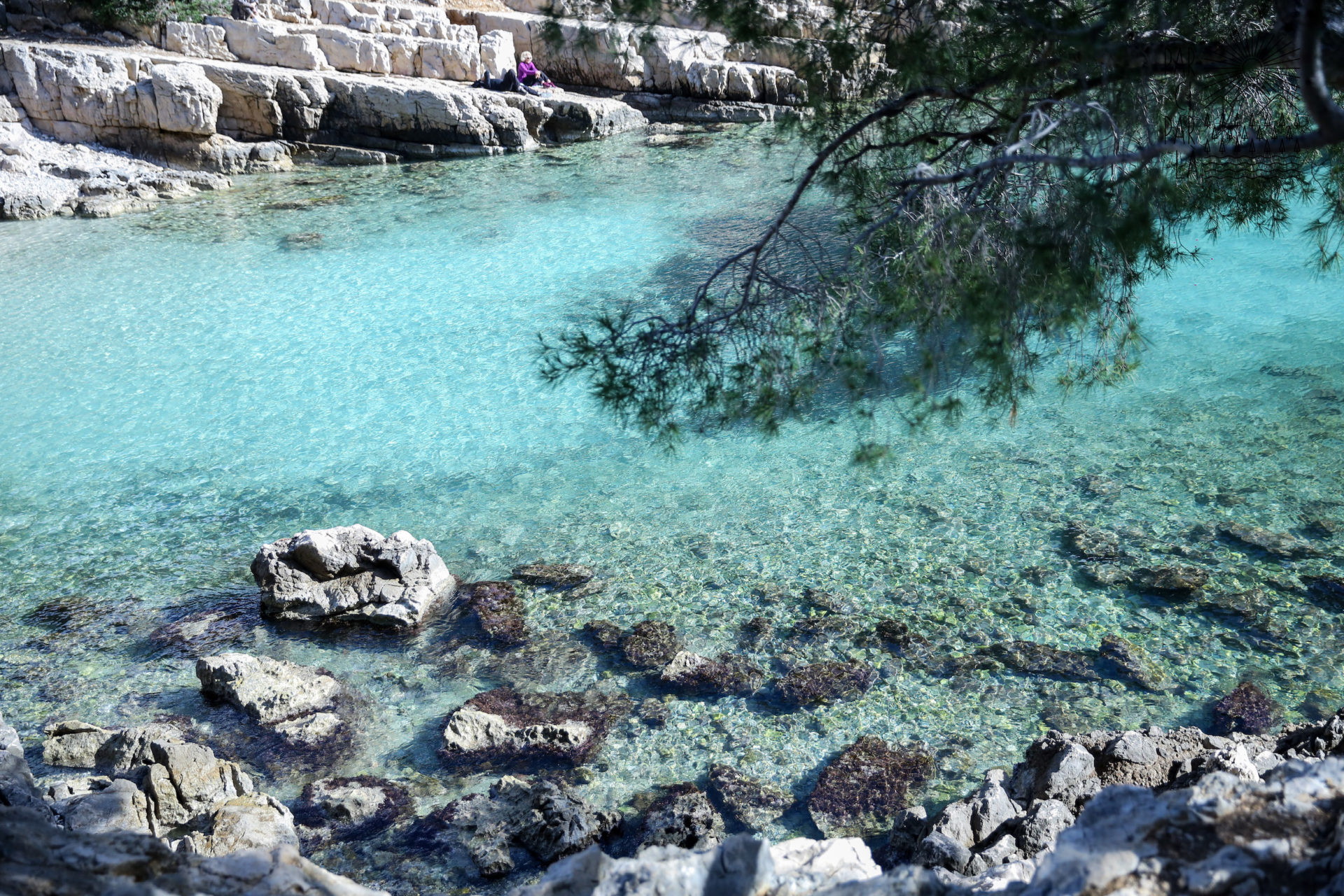 Marseille découverte des calanques