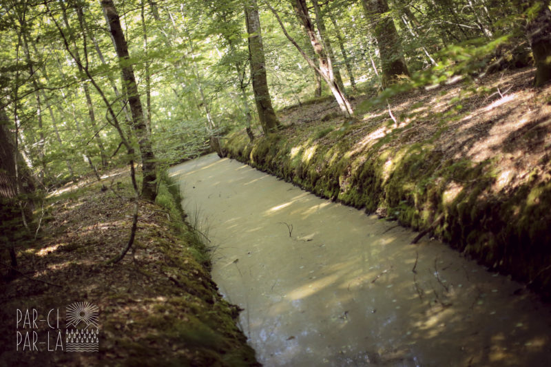 Rando Fontainebleau Rando Fontainebleau