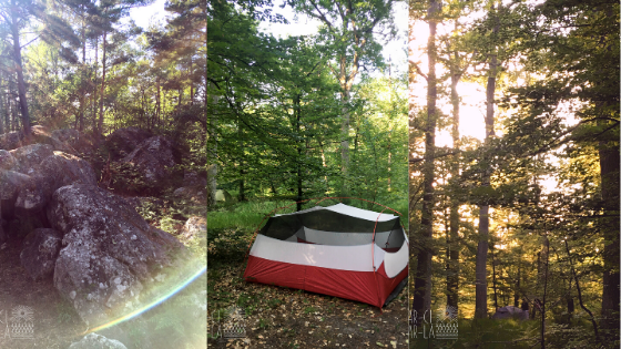 Rando Fontainebleau Rando Fontainebleau