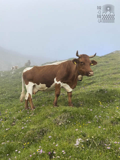 Itinéraire de randonnées dans les Dolomites