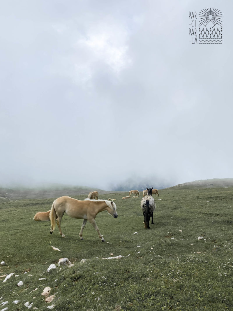 Itinéraire de randonnées dans les Dolomites