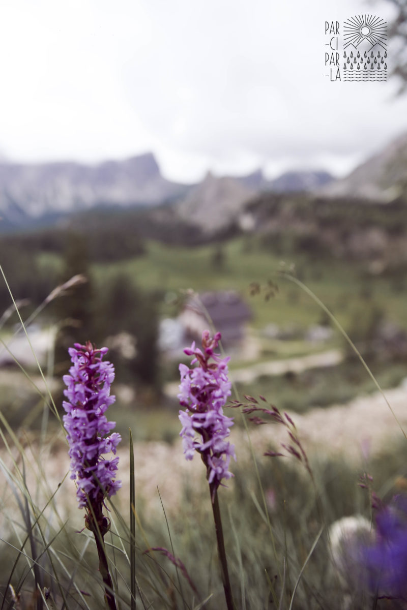 Itinéraire de randonnées dans les Dolomites