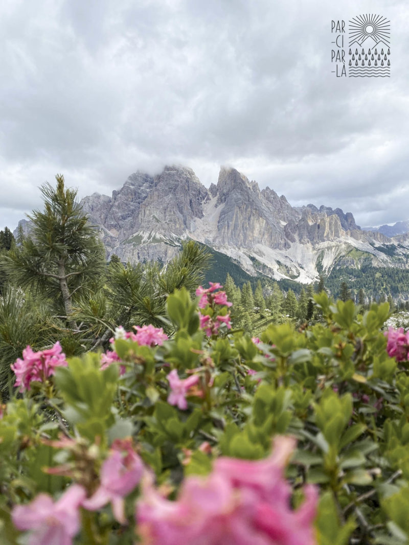 Itinéraire de randonnées dans les Dolomites
