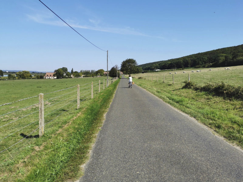 Le Marais Vernier, Normandie