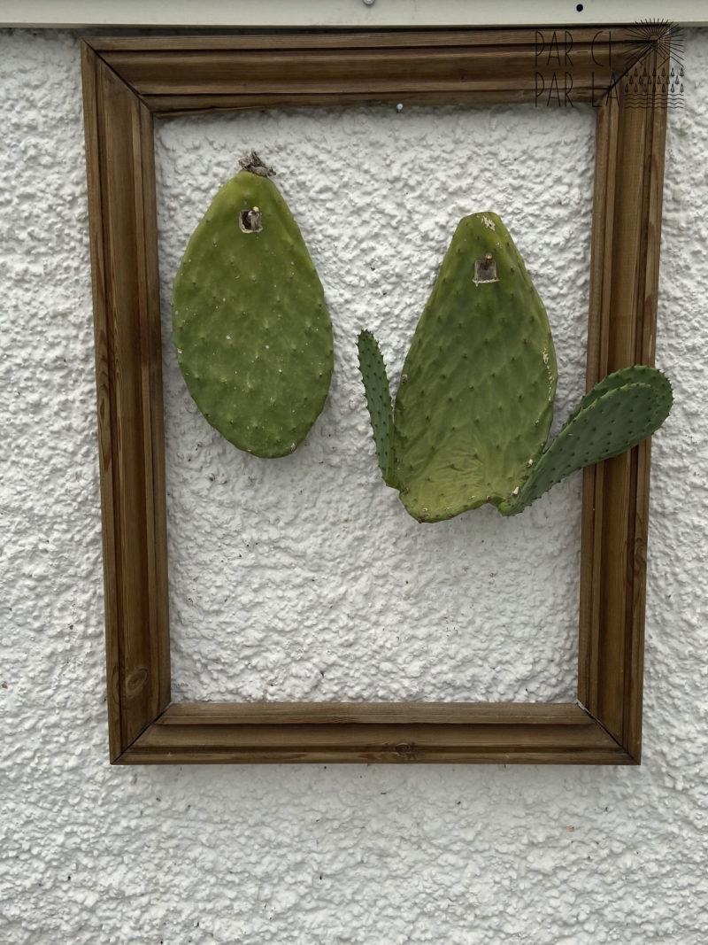 Un week-end à Ischia