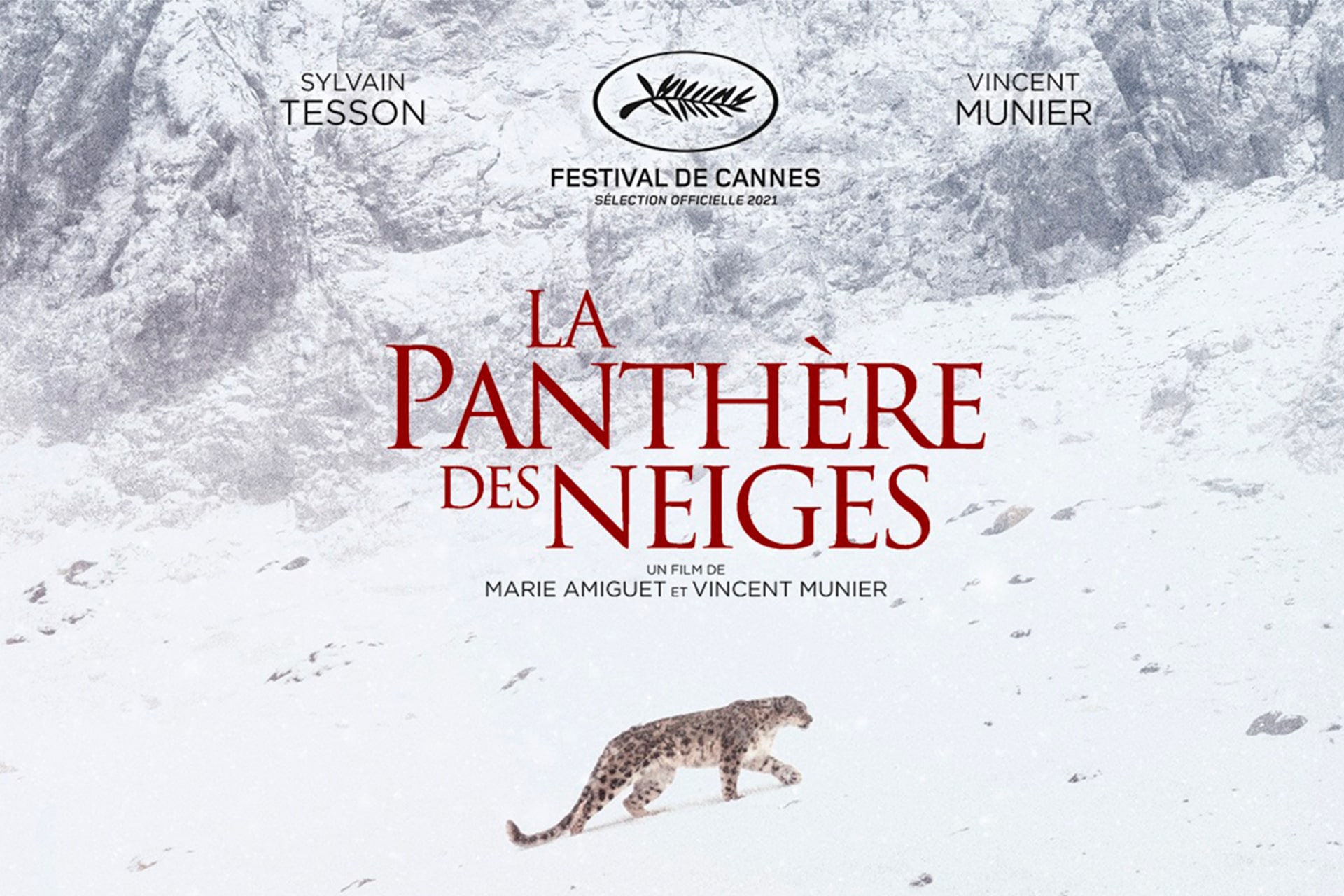 La panthère des neiges