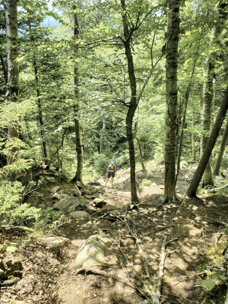Randonnée proche de New York : Adirondacks