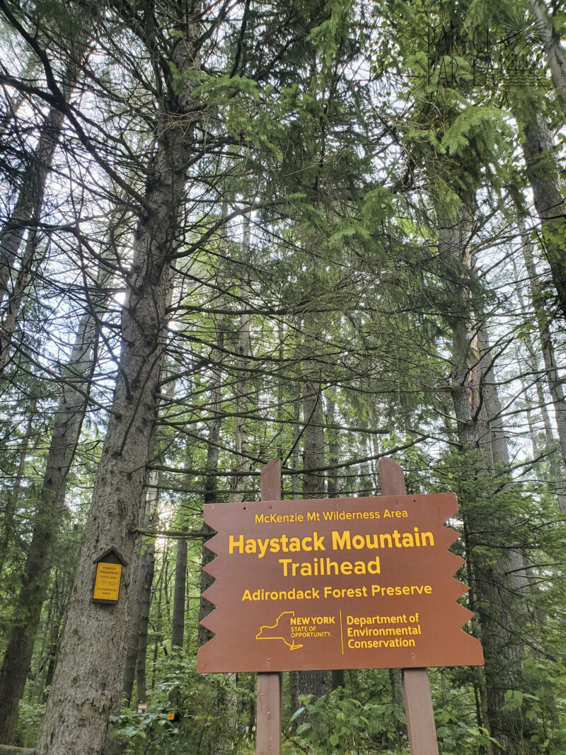 Haystack Mountain Adirondacks