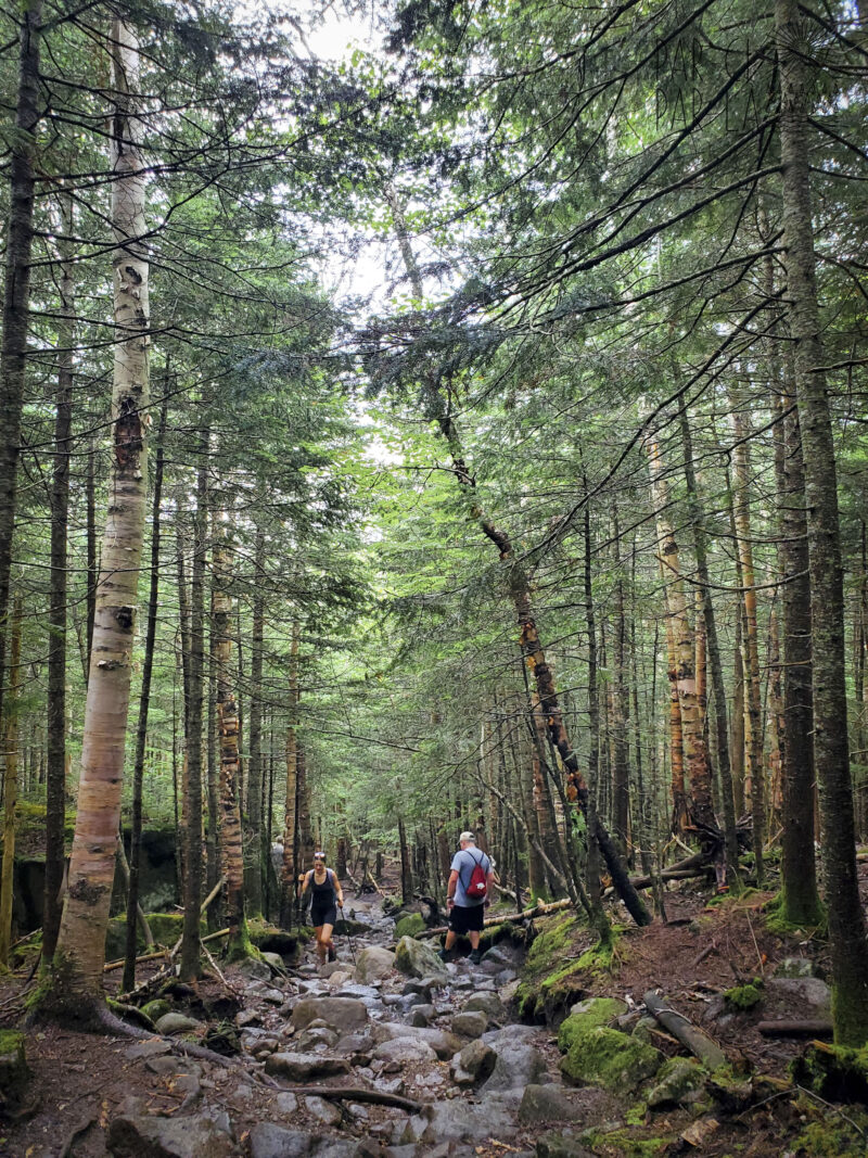 Randonnée proche de New York : Adirondacks